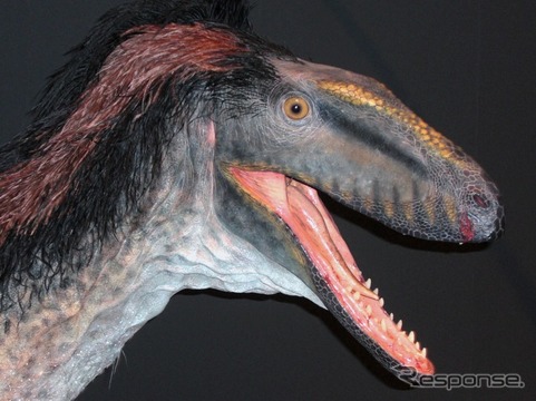 恐竜の模型（参考画像）