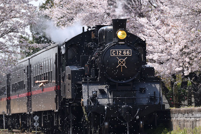 真岡鐡道のSL列車、3月13日に自粛解除…6・7月は車両検査で運休に 画像