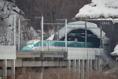 北海道新幹線初、シカが線路に侵入　始発から運行見合せが続く 画像