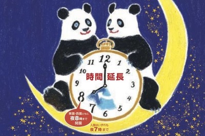 【夏休み】夜のパンダは、いったい？ 画像