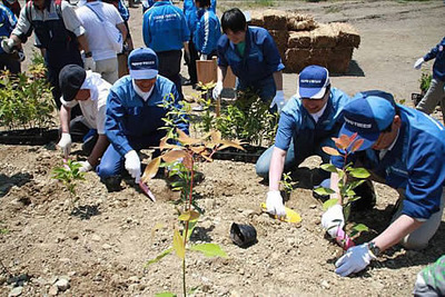 東洋ゴム、震災復興プロジェクト「千年希望の丘 植樹祭」に協賛 画像