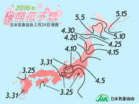日本三大桜の開花予想は…気象協会が発表 画像