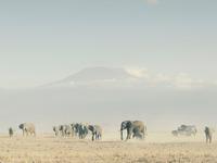 ランドローバー、ゾウ保護プロジェクトを支援…ゾウの一生を写真集に 画像