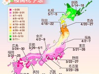 東京と並び、福岡も3月21日に桜開花予想…全国に先駆けて 画像