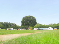 東京から車で70分、ドーム約13個分の広大な牧草地にキャンプ場が期間限定オープン 画像