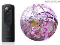 花見ピーク目前、360度「桜のライブ動画」でバーチャルお花見 画像