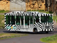 約50年親しまれた多摩動物公園のライオンバス、運行休止に 画像