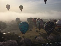 【熱気球ホンダグランプリ】霧の渡良瀬に色とりどりのバルーン…8日開幕、10日まで 画像