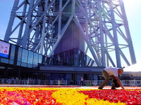 花じゅうたんに特別ライティング…ベルギー色に染まる東京スカイツリー［フォトレポート］ 画像