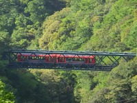 箱根登山鉄道「アレグラ号」2両固定編成の営業運転始まる 画像