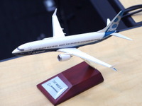 ボーイング 737 改良新型「MAX」とLCCの成長…アジアに注目 画像
