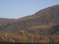 【JNCC 最終戦】秋も彩る爺ヶ岳スキー場で日米トップライダーが相見えた［写真蔵］ 画像