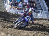 MXGPトップライダーのジェレミー・シーワー、全日本MX最終戦に参戦決定 画像