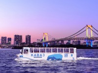 水陸両用バス「TOKYO NO KABA」、12月1日よりトワイライトクルーズ開始 画像
