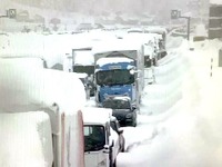 最強の寒気襲来…関越道で一時1100台立ち往生、今夜以降も大雪警戒［新聞ウォッチ］ 画像