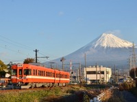 静岡県の岳南電車に初の夜行列車…吉原-岳南江尾間を2往復　5月8日 画像