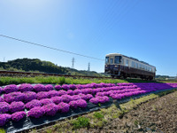 静岡の天浜線、最古参車両が引退…1995年製のTH3501　5月23日にラストラン 画像