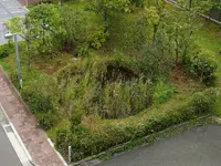 JVCケンウッドの「とんぼ池」、国連OECMデータベースに新規登録…生物多様性保全に寄与 画像