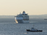 世界第4位の規模を誇る大型クルーズ客船、横浜へ入港 画像