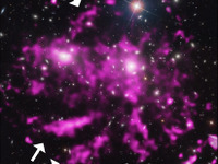 米サイエンス誌、「銀河団の伸びる高温ガスの巨大な『腕』」発見の論文が掲載 画像