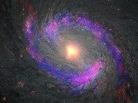 渦巻銀河M77中心のブラックホール周辺に有機分子が集中して存在…国立天文台 画像