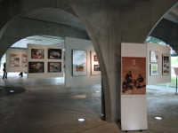 多摩美術大学でベテランカーデザイナーの作品展が開催中 画像