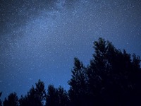 しし座流星群、11月18日がピーク…深夜から明け方に観測チャンス 画像