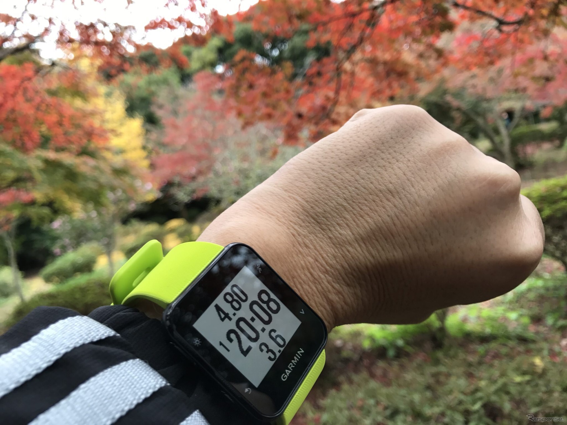 鎌倉の紅葉を楽しみながら3時間ほどのウォーキングをこなした