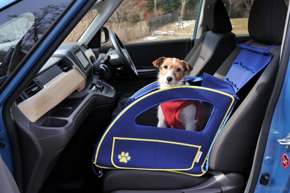 【ホンダ フリード・フリード＋でペット旅】犬にもうれしい静粛性と車内空間で、箱根の温泉宿をめざす