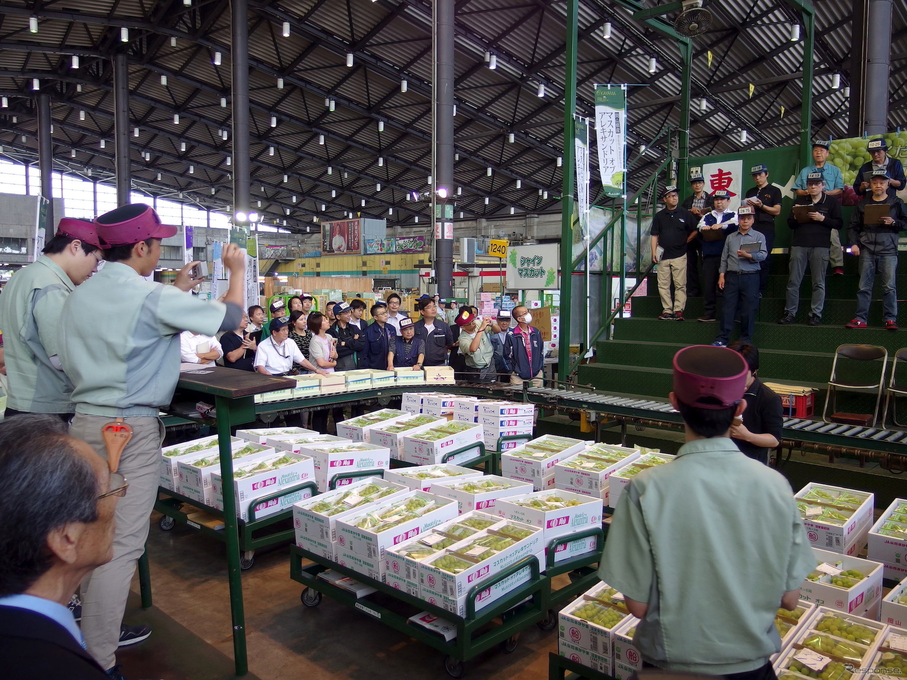東京大田市場で岡山産マスカット・オブ・アレキサンドリアの初競り