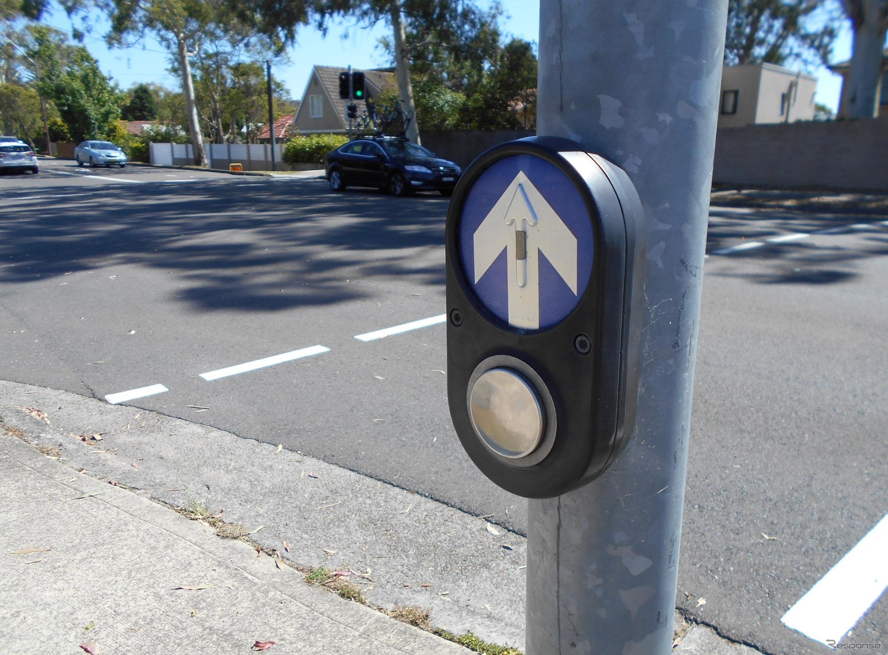 歩行者は押しボタン式。同方向のクルマの信号が青になるときと、ならないときがある。歩行者信号が青になってから、半分もわたらないところで赤信号になるほどせかす。