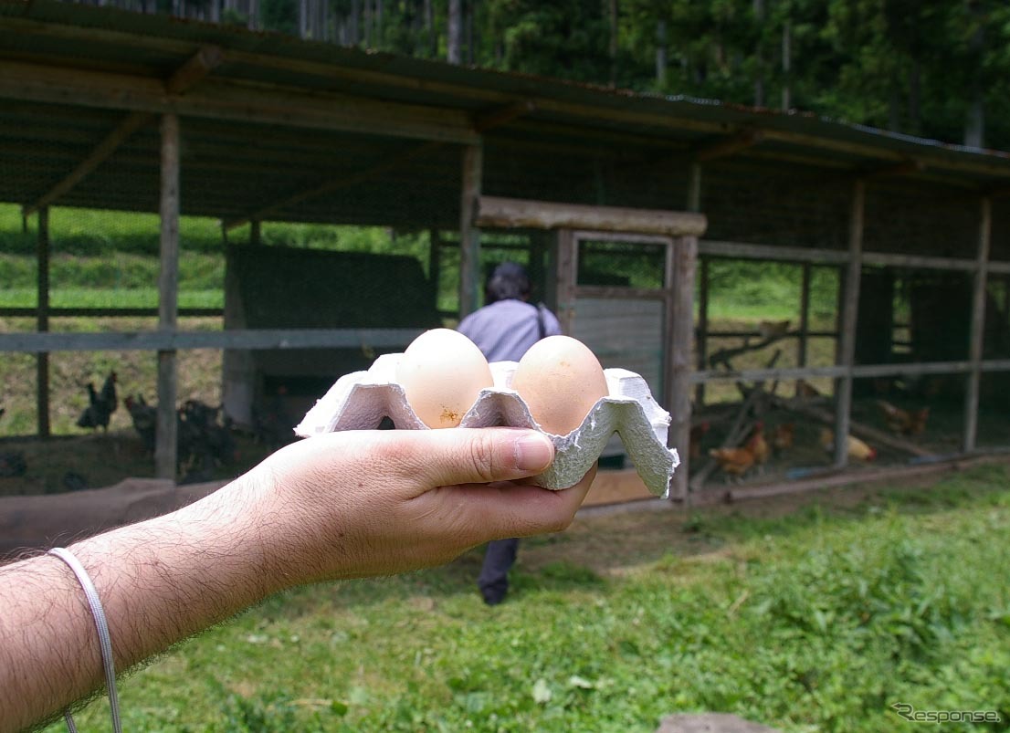 生みたての卵をゲット。割らずに持ち帰るのもオリエンテーリングの条件だ。
