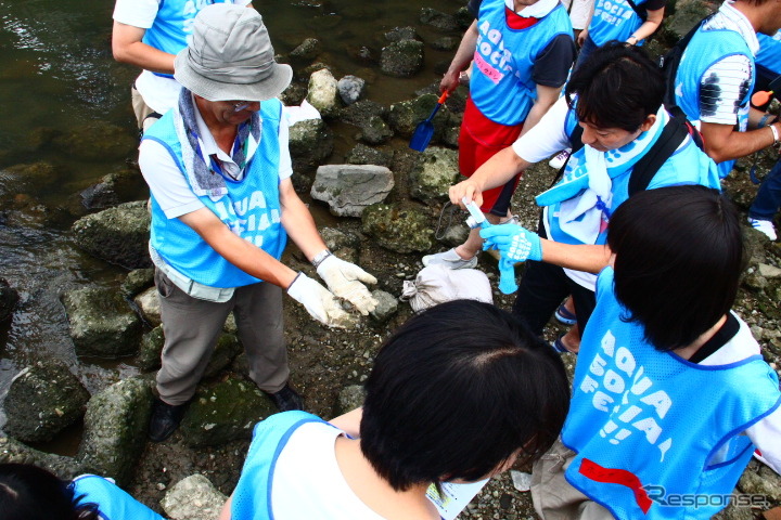 淀川河口でシジミやカニの存在を確認した参加者たち