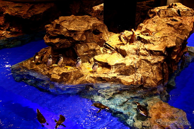 すみだ水族館