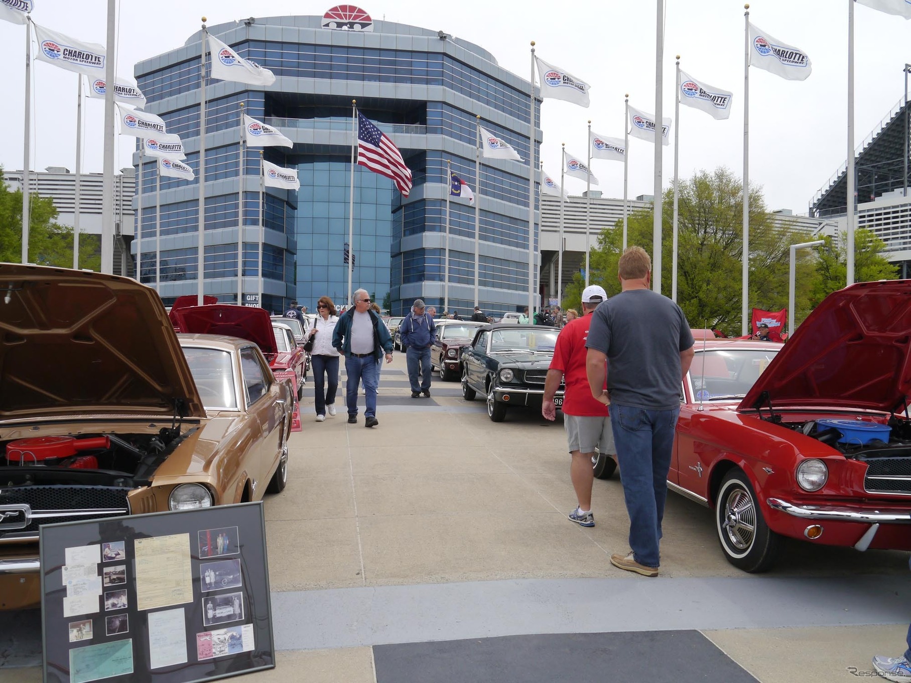フォード マスタング 50周年 記念イベント