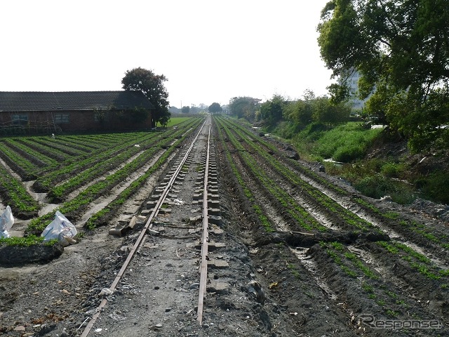 現役のサトウキビ鉄道の周辺には、廃止されたサトウキビ鉄道の線路が多数残っていた。