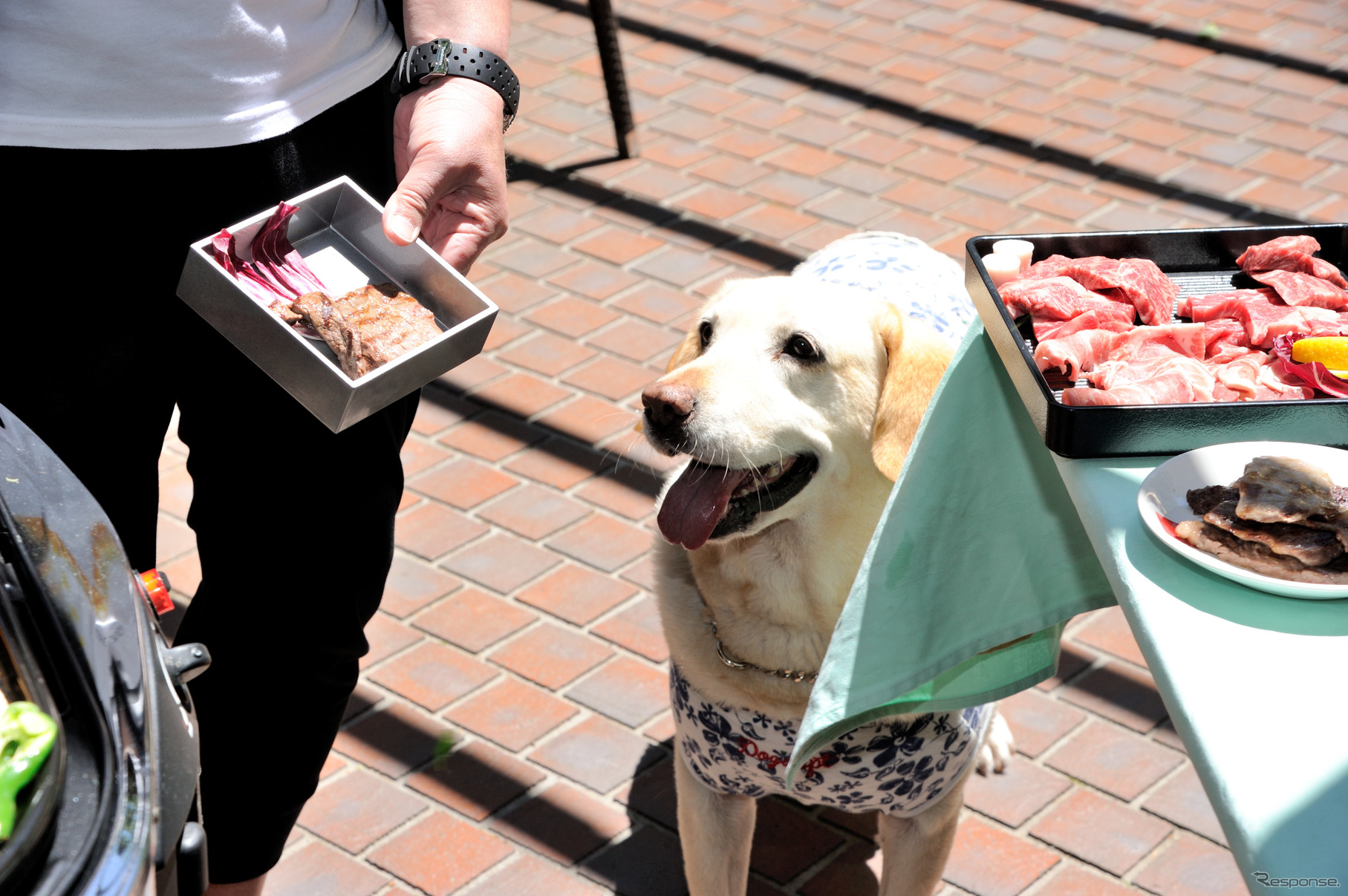 愛犬といっしょのバーベキュー。親子3世代でも楽しめる。