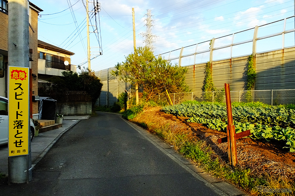 この道の左側が東京都、右側が神奈川県。右側の高架橋は東名高速道