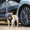 シュコダ、犬専用の傘を開発…ドアフレームに内蔵