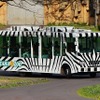 1964年から約50年に渡って多くの人たちから親しまれた多摩動物公園のライオンバスが3月末で運行休止に。