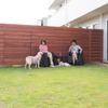 この夏行きたい理想の愛犬同伴宿、ドッグフレンドリーポイント10ヶ条