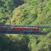 7月下旬に再開する予定の箱根登山鉄道箱根湯本～強羅間。写真は3100形。