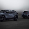 マツダ CX-30 X ブラックトーンエディション