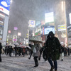 東京渋谷（2月5日）