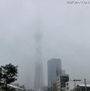 十間橋の欄干にも積雪