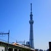 東京スカイツリーと羽田空港・東京駅・東京ディズニーリゾートを結ぶバス路線が誕生