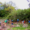 笹刈り現場からは「もう少しやりたい!」という声が