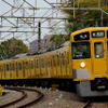 本川越「時の鐘と蔵のまち」方面へと駆ける西武新宿線電車