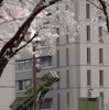 今年4月の飛翔体発射時にも今回と同様、防衛省本庁内にパトリオットPAC3が配備されている。