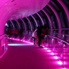東京スカイツリー　展望回廊もピンクに